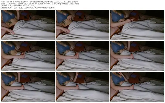 streamate-leanbeefpattywannabe-11-16-2025-10-59-18