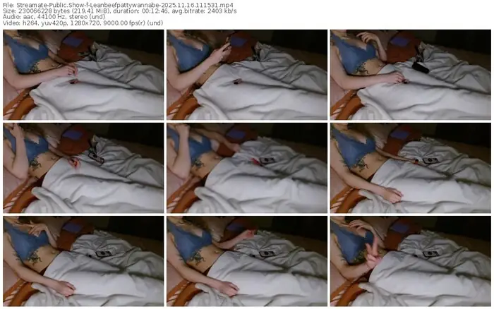 streamate-leanbeefpattywannabe-11-16-2025-11-15-31
