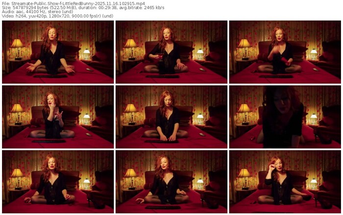 streamate-littleredbunny-11-16-2025-10-29-15