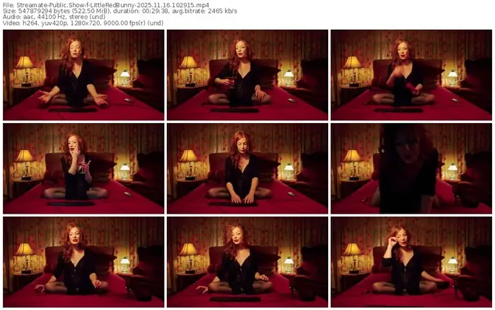 streamate-littleredbunny-11-16-2025-10-29-15