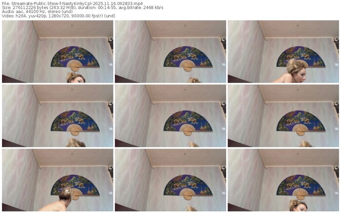 streamate-nastykinkycpl-11-16-2025-09-28-33