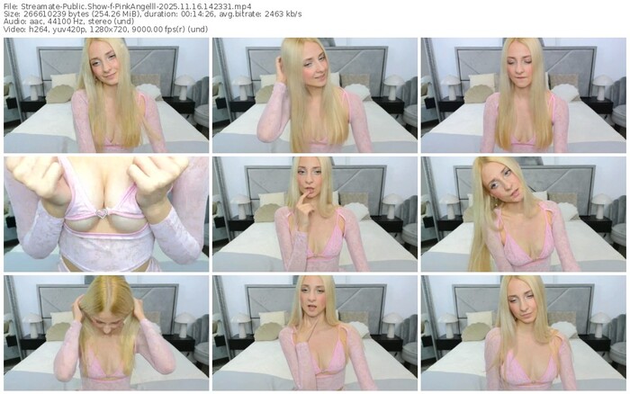streamate-pinkangelll-11-16-2025-14-23-31