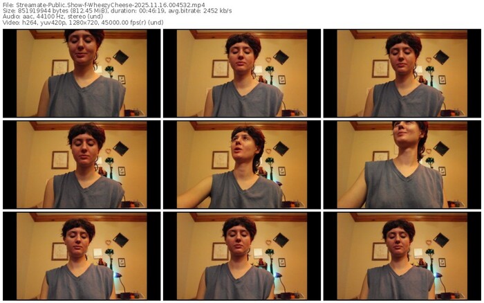 streamate-wheezycheese-11-16-2025-00-45-32