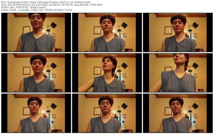 streamate-wheezycheese-11-16-2025-00-45-32