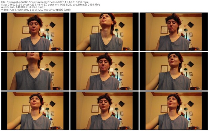 streamate-wheezycheese-11-16-2025-01-39-32