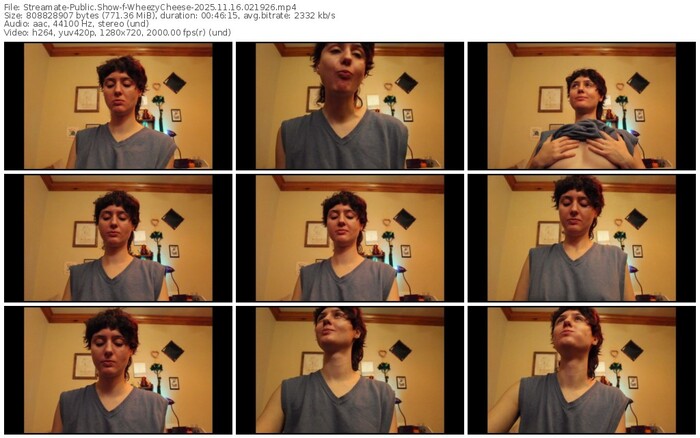 streamate-wheezycheese-11-16-2025-02-19-26