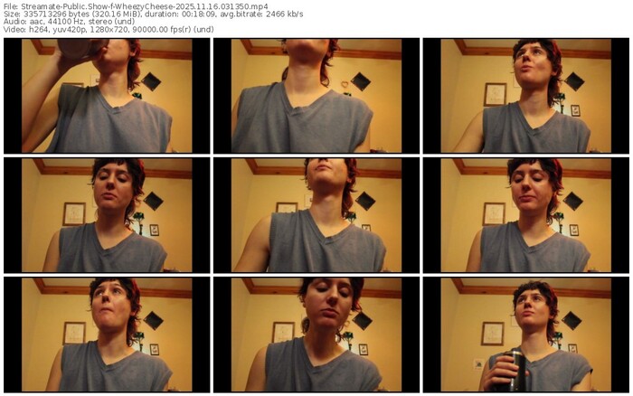 streamate-wheezycheese-11-16-2025-03-13-50