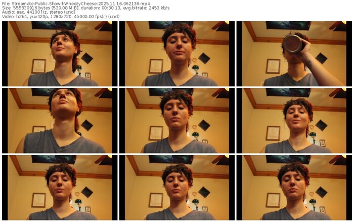 streamate-wheezycheese-11-16-2025-06-21-36