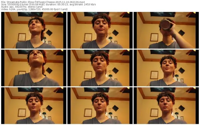 streamate-wheezycheese-11-16-2025-06-21-36
