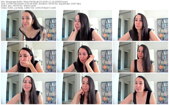 streamate-wildcat123-11-16-2025-23-59-53