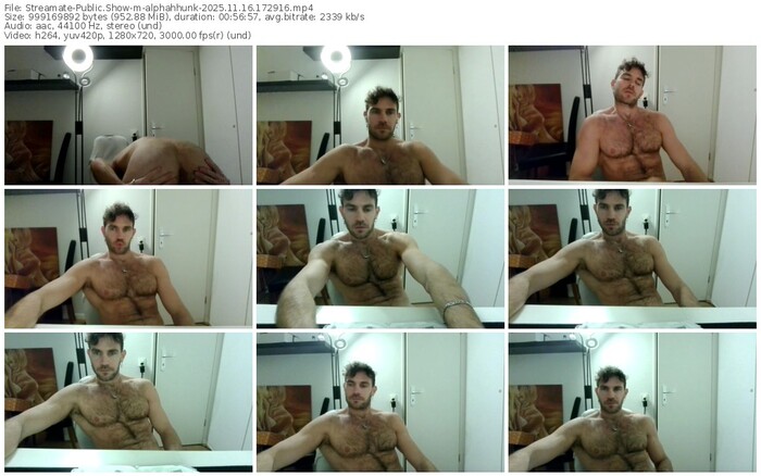streamate-alphahhunk-11-16-2025-17-29-16