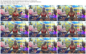 streamate-bustybarbixxxx-11-17-2025-13-30-10