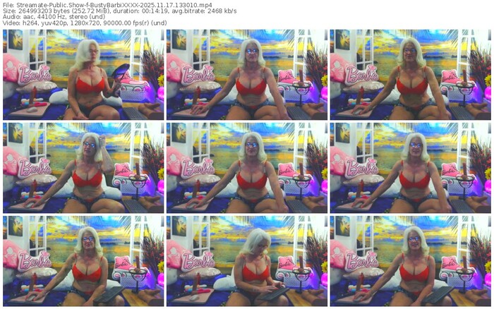 streamate-bustybarbixxxx-11-17-2025-13-30-10