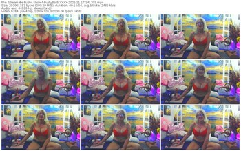 streamate-bustybarbixxxx-11-17-2025-14-12-03