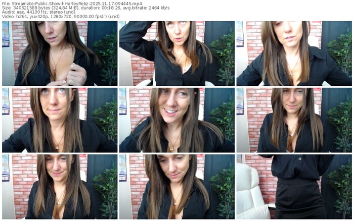 streamate-harleyrebz-11-17-2025-09-44-45