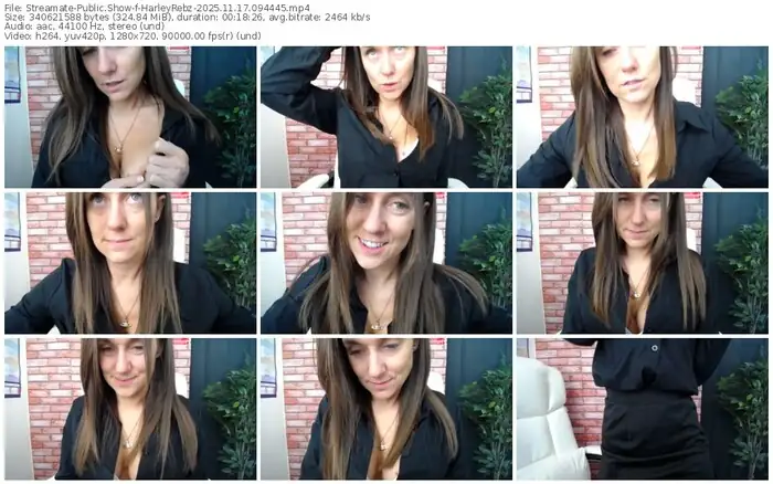 streamate-harleyrebz-11-17-2025-09-44-45