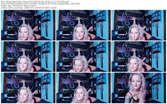 streamate-missquincam-11-17-2025-15-19-25