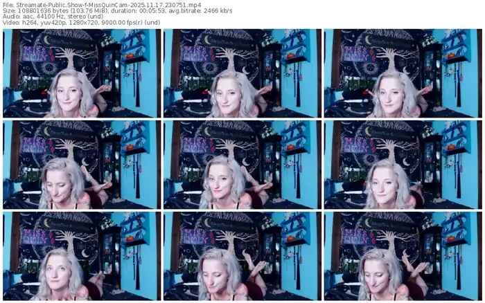 streamate-missquincam-11-17-2025-23-07-51