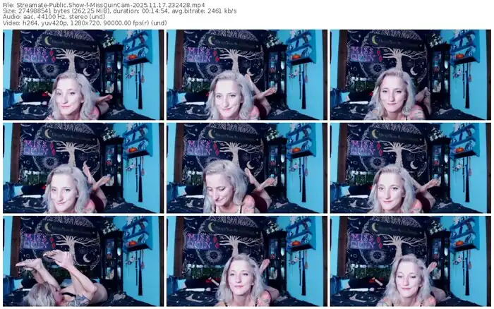 streamate-missquincam-11-17-2025-23-24-28