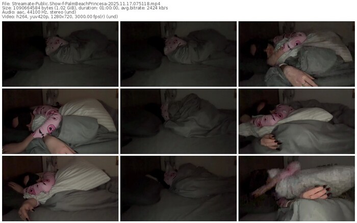 streamate-palmbeachprincesa-11-17-2025-07-51-18