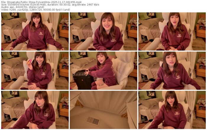 streamate-vixenminx-11-17-2025-06-16-55