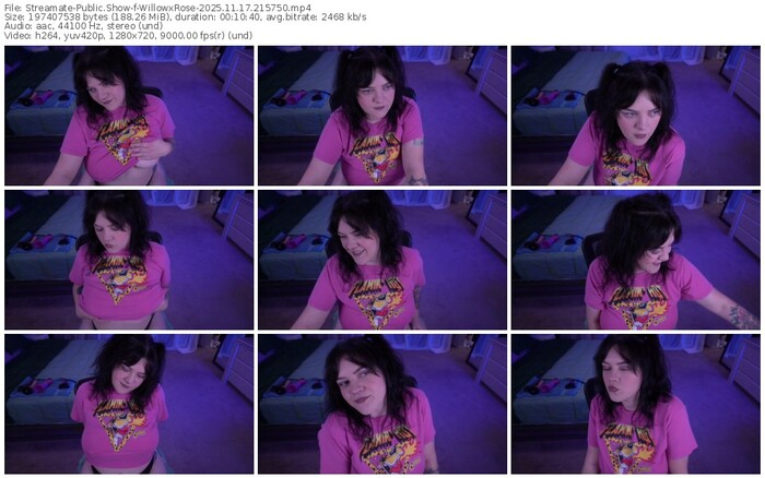 streamate-willowxrose-11-17-2025-21-57-50