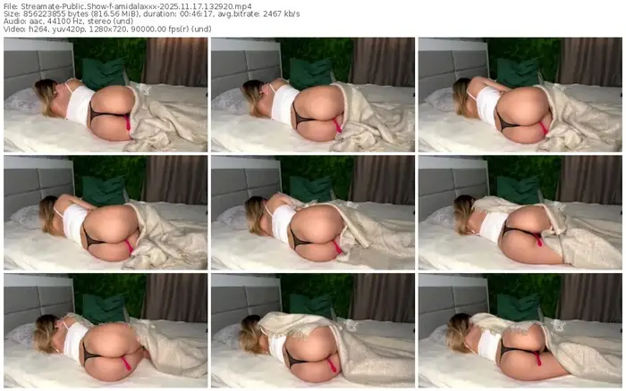 streamate-amidalaxxx-11-17-2025-13-29-20