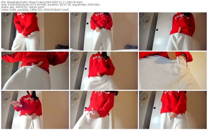 streamate-camii2244-11-17-2025-20-01-40
