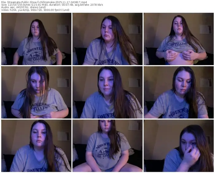 streamate-chillnsmoke-11-17-2025-04-38-17