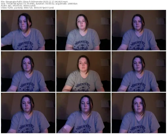 streamate-chillnsmoke-11-17-2025-06-24-19