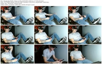 streamate-fin_gains355-11-17-2025-04-41-26