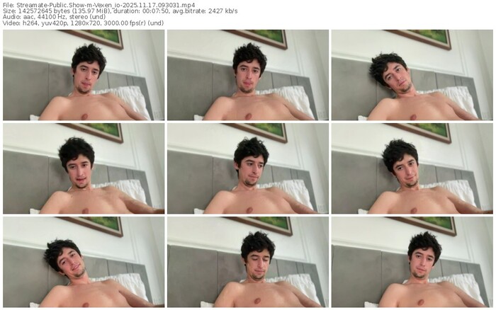 streamate-vexen_io-11-17-2025-09-30-31