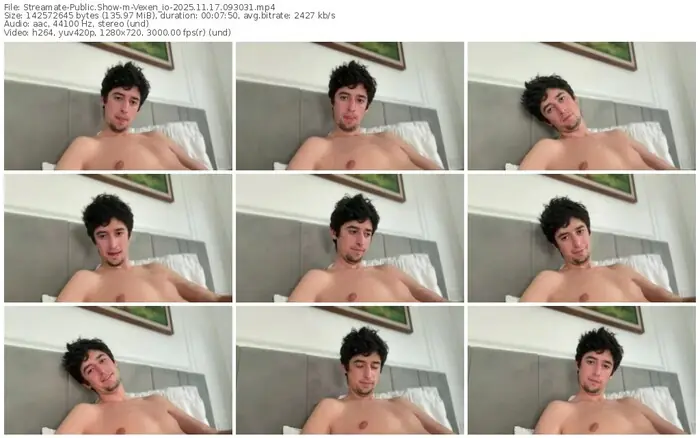 streamate-vexen_io-11-17-2025-09-30-31