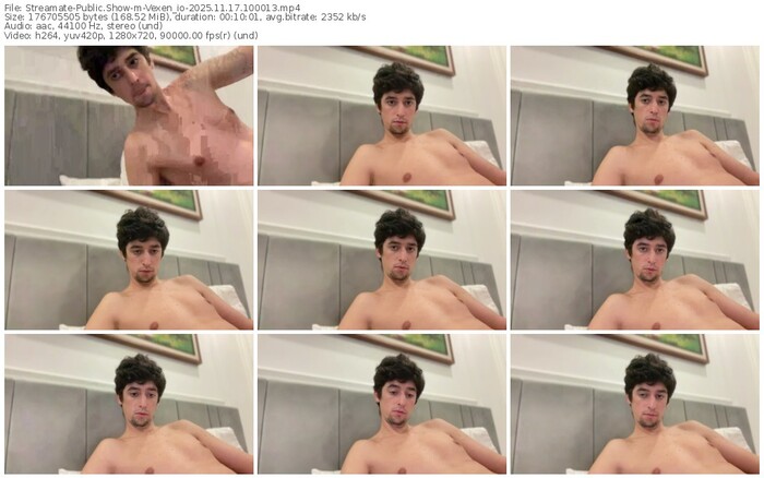 streamate-vexen_io-11-17-2025-10-00-13