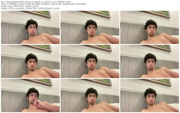 streamate-vexen_io-11-17-2025-10-58-21