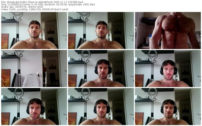 streamate-alphahhunk-11-17-2025-10-23-58