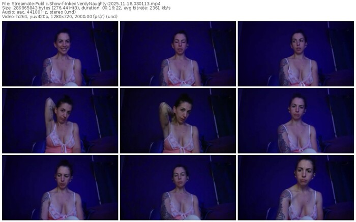 streamate-inkednerdynaughty-11-18-2025-08-01-13