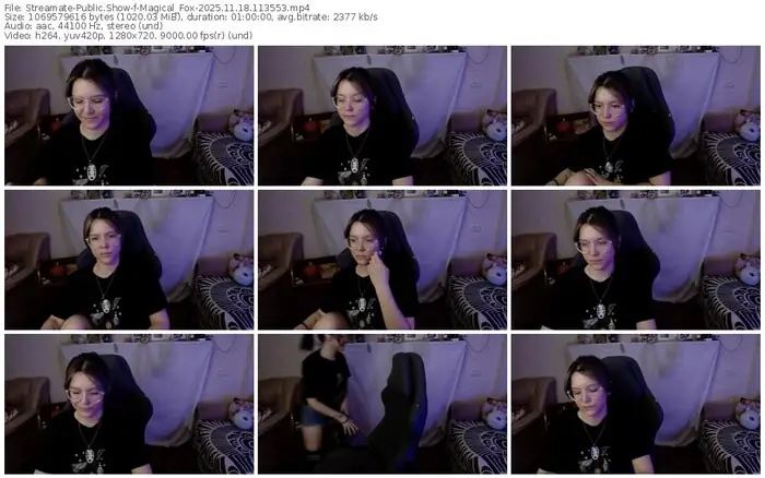 streamate-magical_fox-11-18-2025-11-35-53