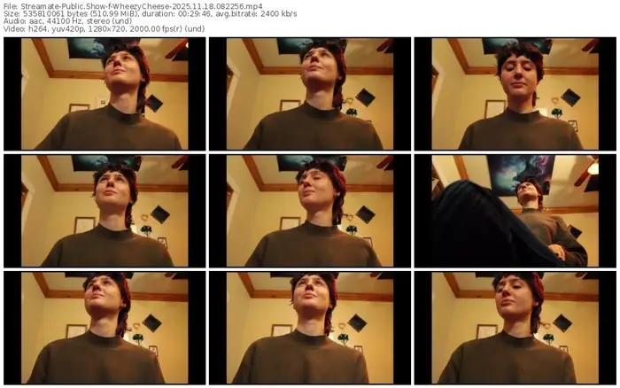 streamate-wheezycheese-11-18-2025-08-22-56