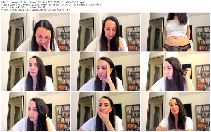 streamate-wildcat123-11-18-2025-04-33-05