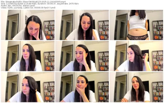 streamate-wildcat123-11-18-2025-04-33-05