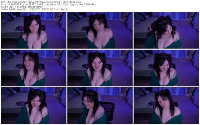 streamate-willowxrose-11-18-2025-23-47-44