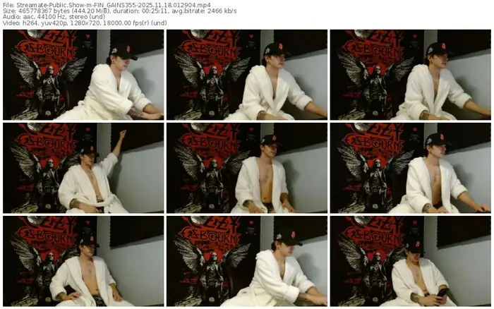 streamate-fin_gains355-11-18-2025-01-29-04