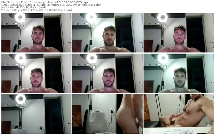 streamate-alphahhunk-11-18-2025-19-57-35