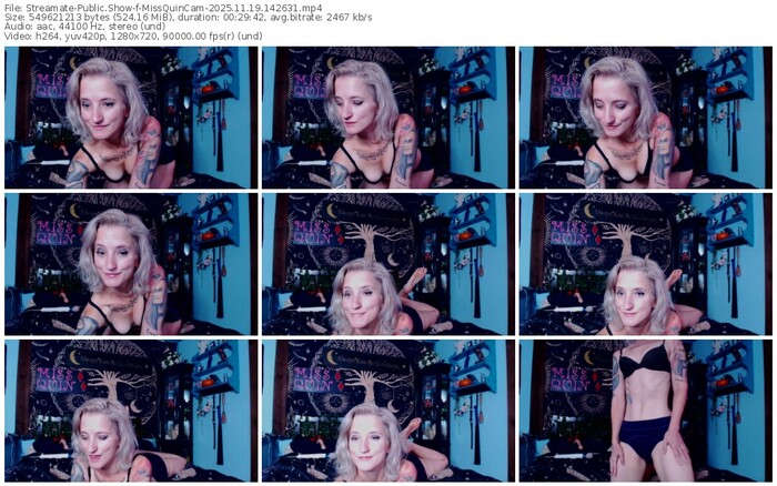 streamate-missquincam-11-19-2025-14-26-31