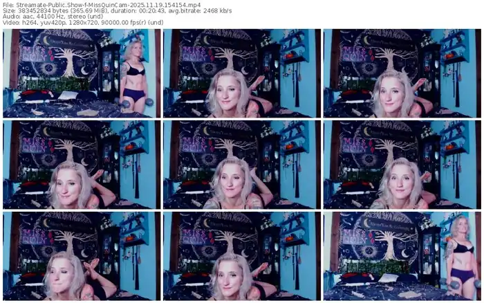 streamate-missquincam-11-19-2025-15-41-54