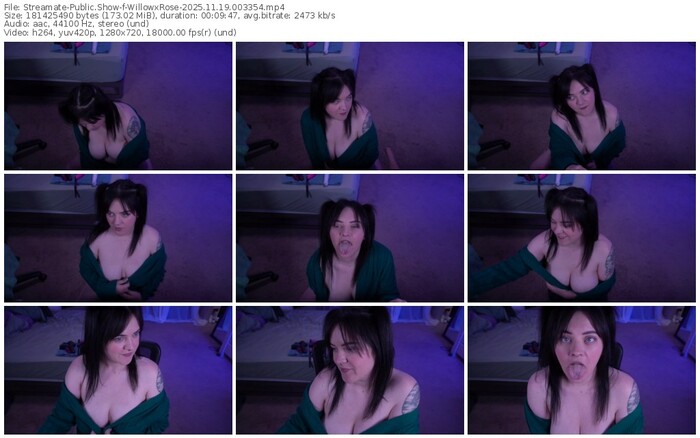 streamate-willowxrose-11-19-2025-00-33-54