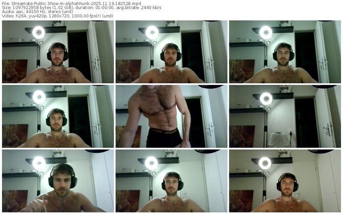 streamate-alphahhunk-11-19-2025-18-25-28