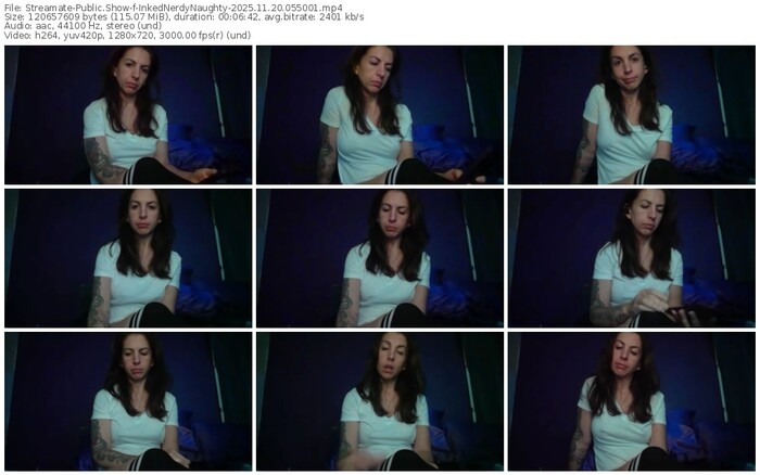 streamate-inkednerdynaughty-11-20-2025-05-50-01