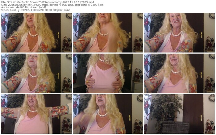 streamate-thesensualhorny-11-20-2025-11-29-23